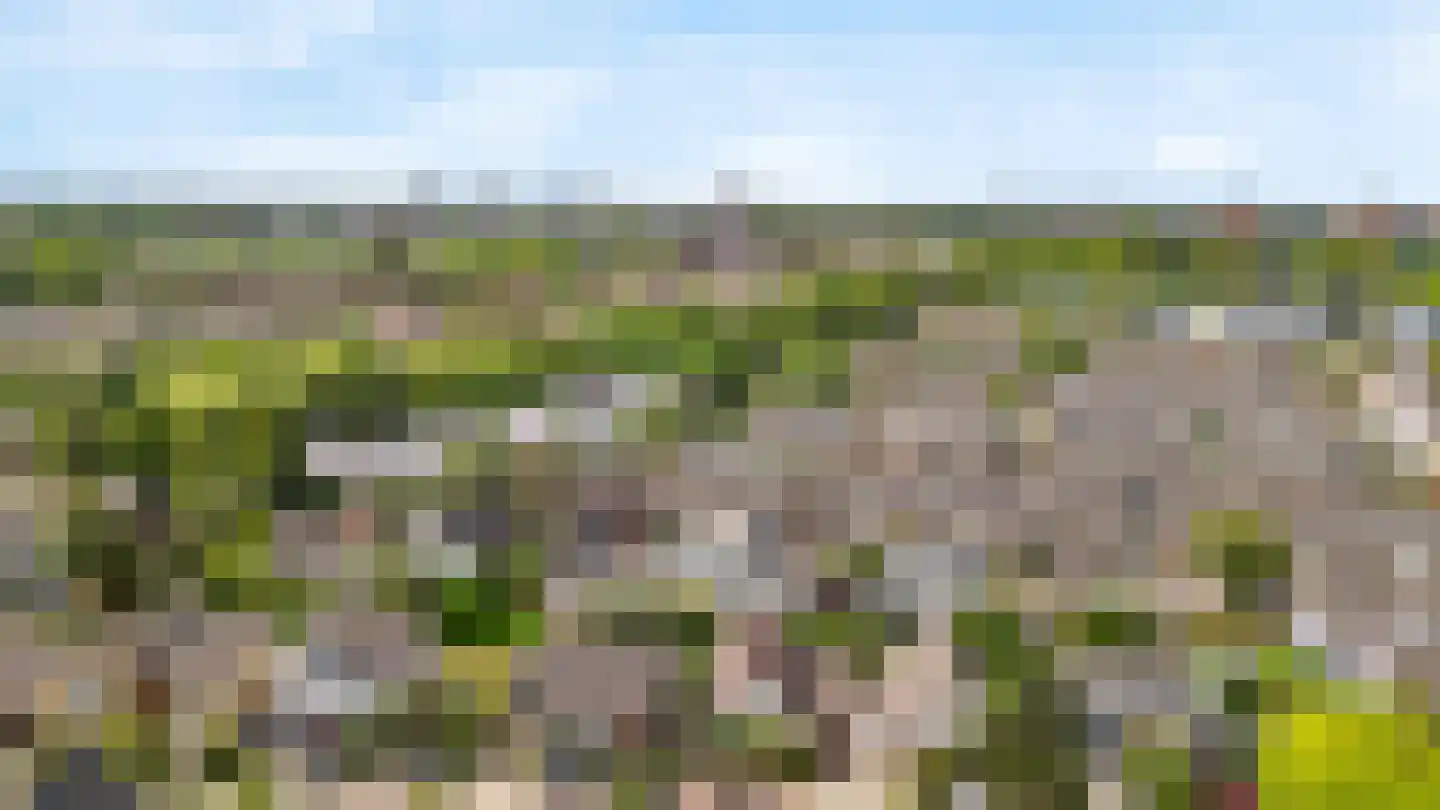Winterkade 10 Leiderdorp thumbnail 45