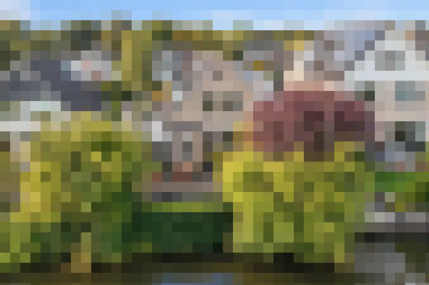 Winterkade 25 Leiderdorp thumbnail 25