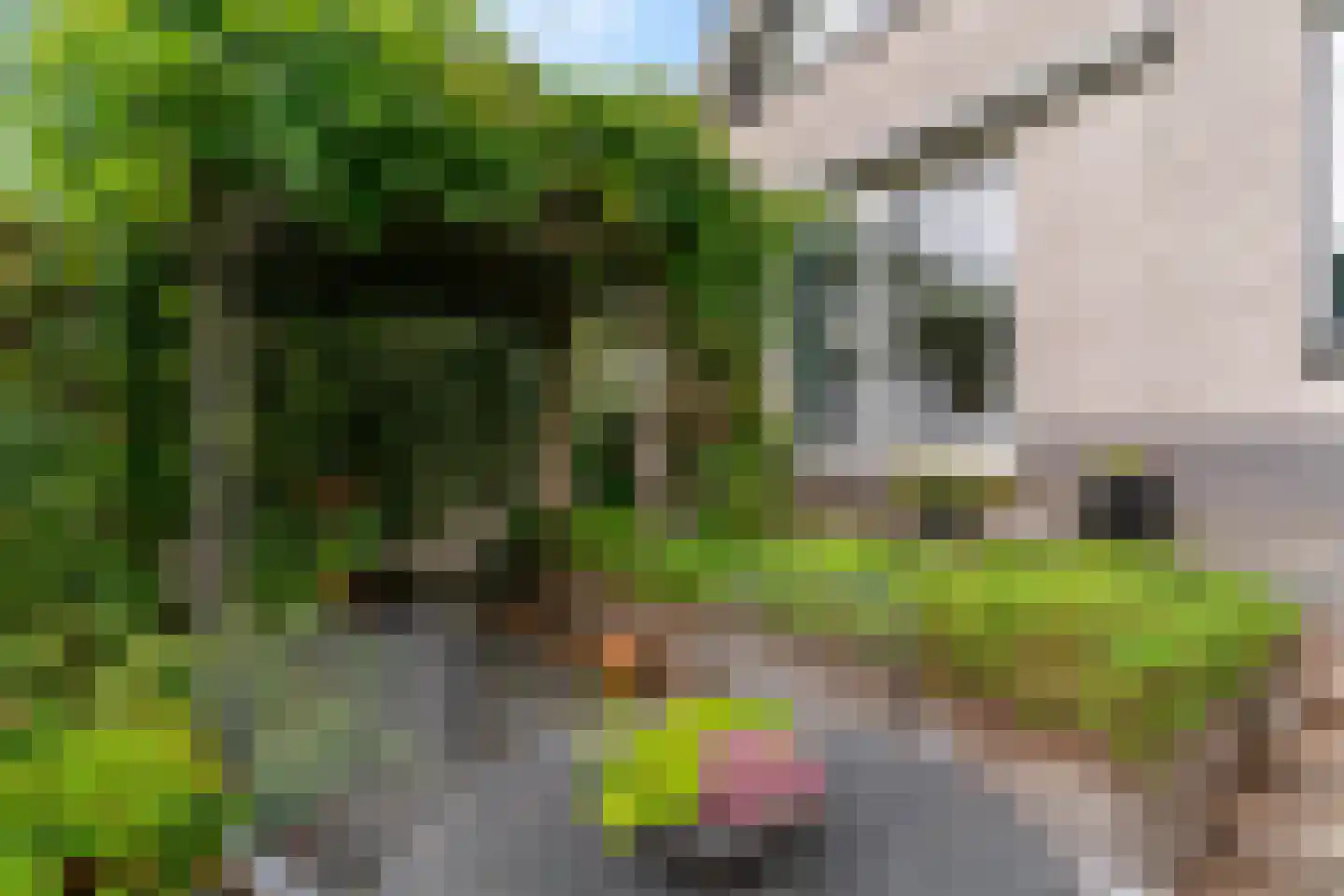Winterkade 27 Leiderdorp thumbnail 43