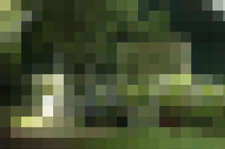 Winterkamperweg 9 b Markelo thumbnail 27