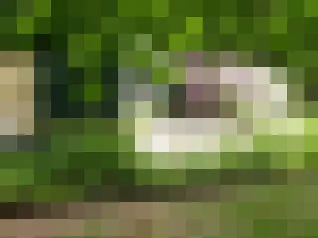 Winterkamperweg 9 b Markelo thumbnail 30