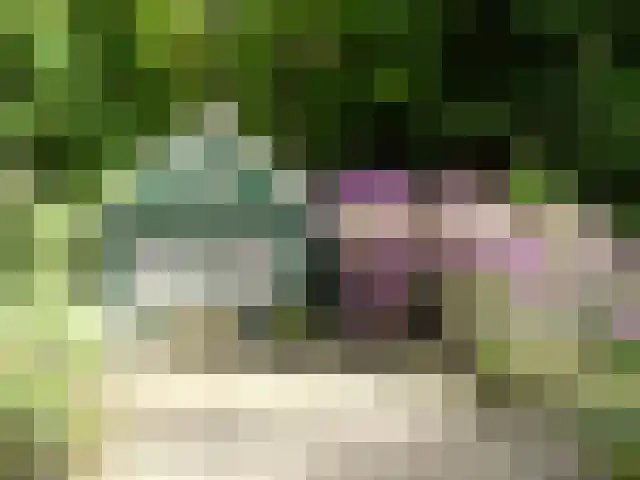 Winterkamperweg 9 b Markelo thumbnail 31