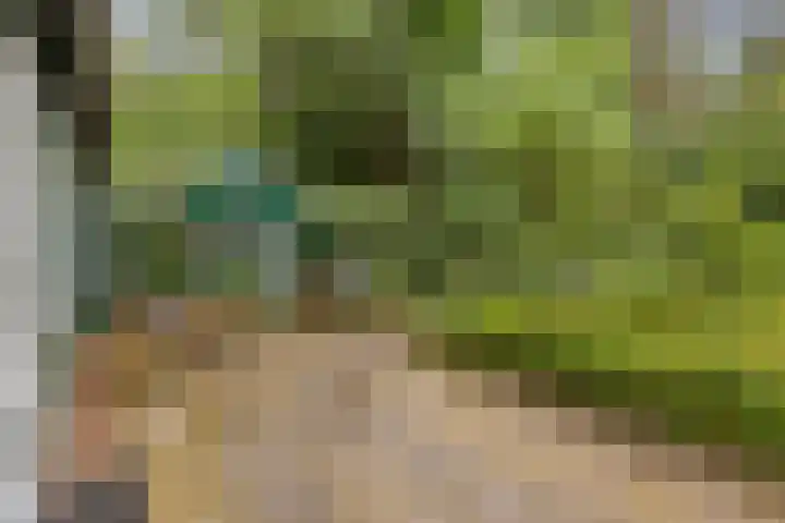 Winterkamperweg 9 b Markelo thumbnail 32