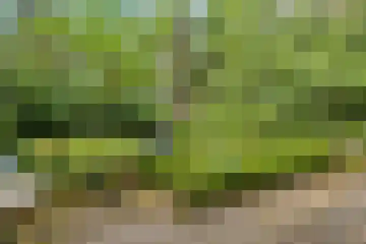 Winterkamperweg 9 b Markelo thumbnail 33
