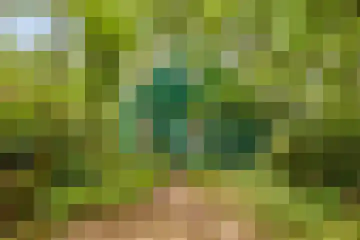 Winterkamperweg 9 b Markelo thumbnail 34