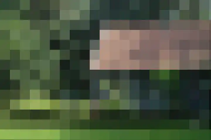 Winterkamperweg 9 b Markelo thumbnail 35