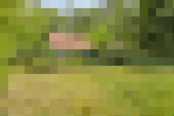 Winterkamperweg 9 b Markelo thumbnail 36