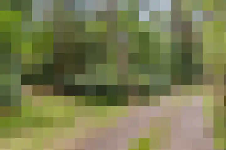 Winterkamperweg 9 b Markelo thumbnail 37