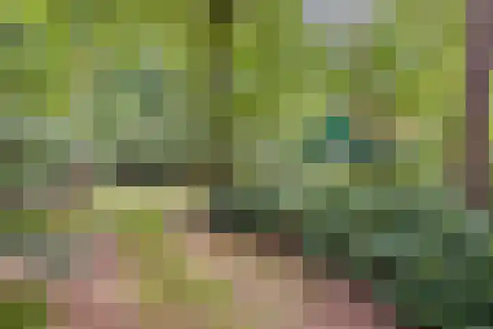 Winterkamperweg 9 b Markelo thumbnail 39