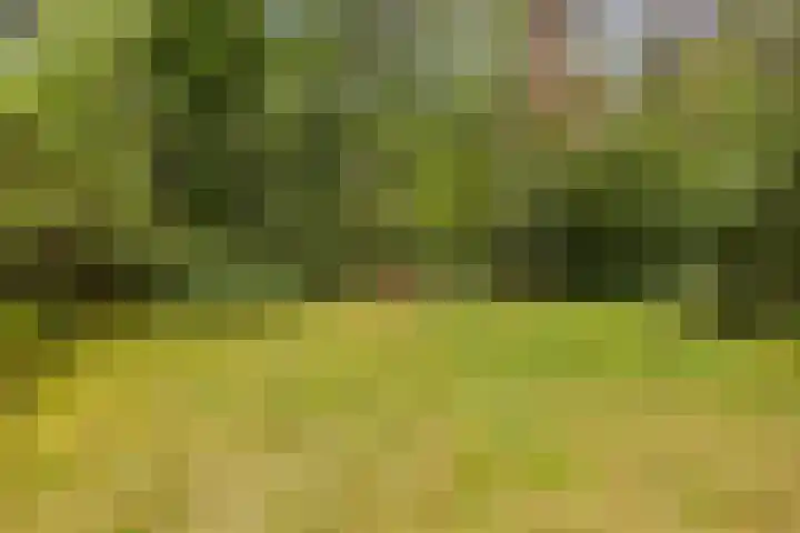 Winterkamperweg 9 b Markelo thumbnail 41