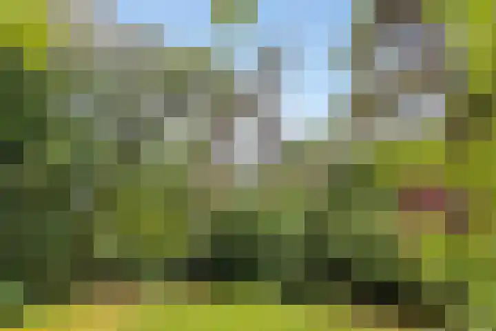 Winterkamperweg 9 b Markelo thumbnail 42