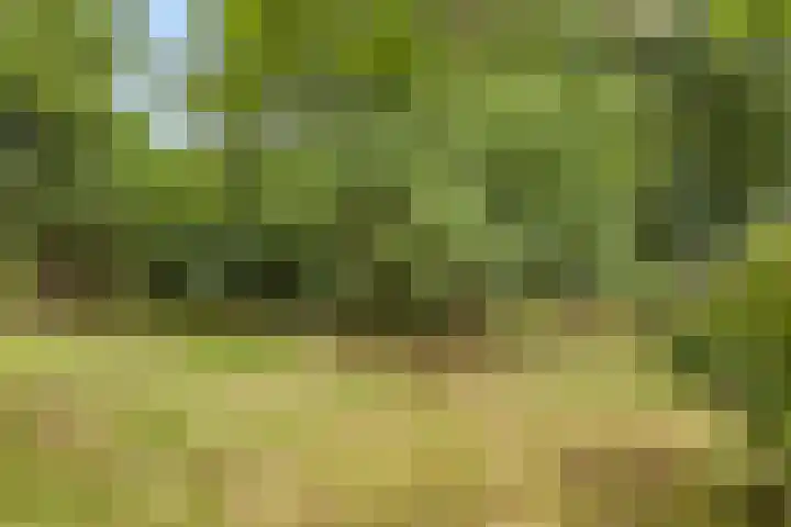 Winterkamperweg 9 b Markelo thumbnail 43