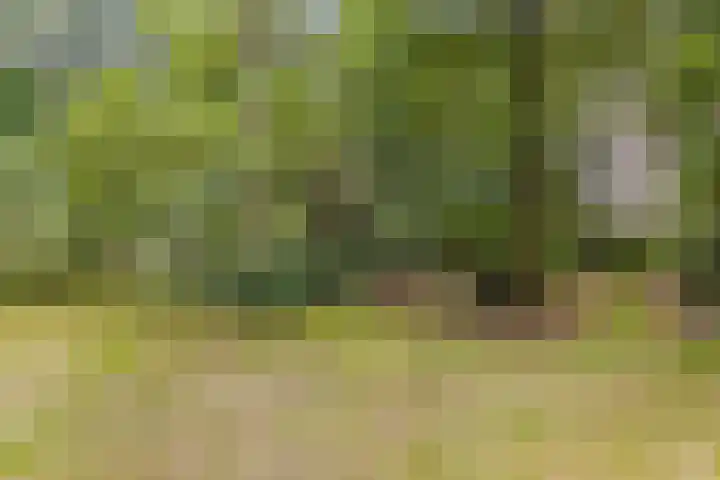 Winterkamperweg 9 b Markelo thumbnail 44