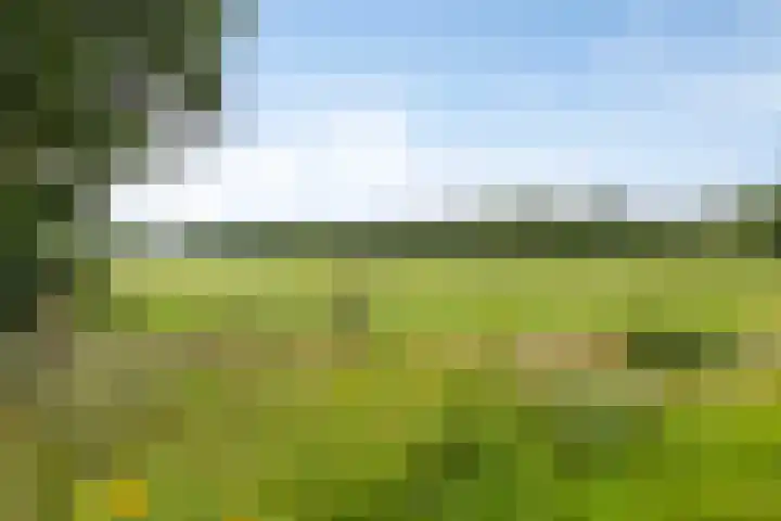 Winterkamperweg 9 b Markelo thumbnail 47