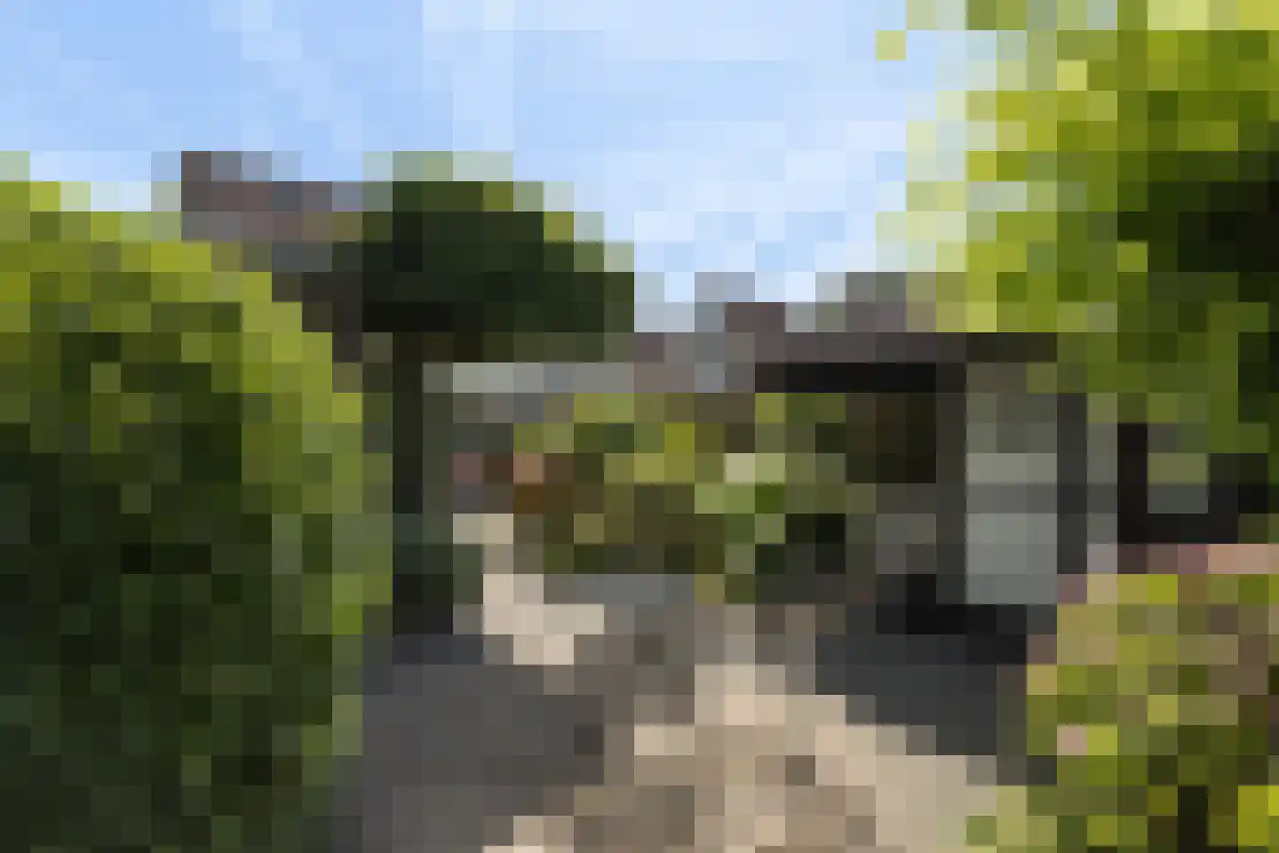 Winterkoning 13 Oud-Beijerland thumbnail 33