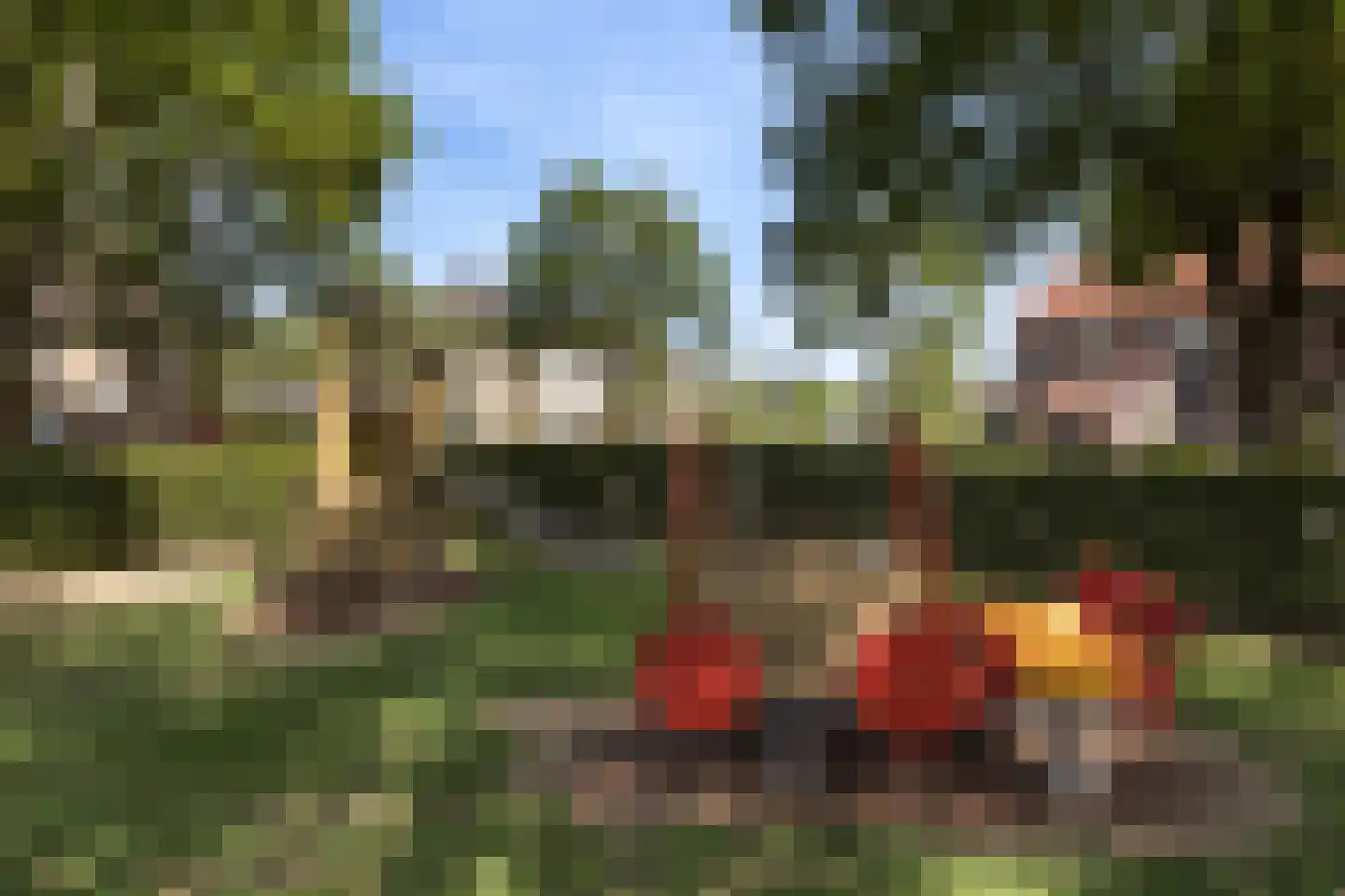 Winterkoning 13 Oud-Beijerland thumbnail 45