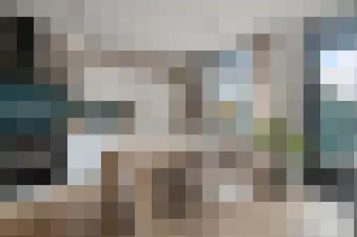 Winterkoning 2 A Heemskerk thumbnail 13