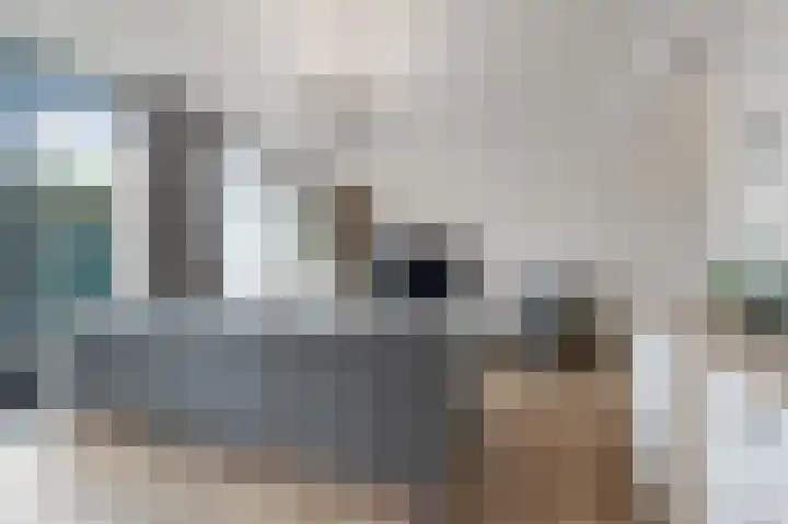 Winterkoning 2 A Heemskerk thumbnail 15
