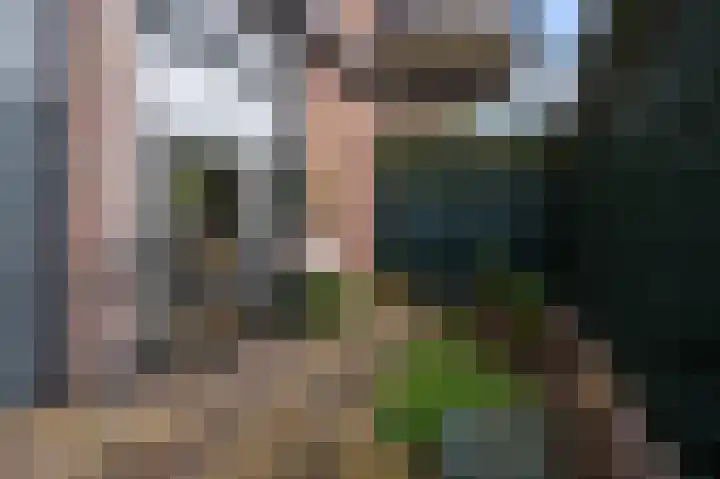 Winterkoning 2 A Heemskerk thumbnail 17
