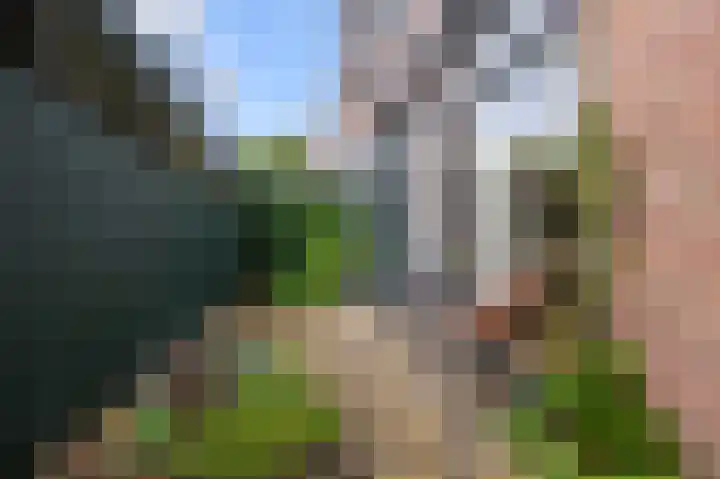 Winterkoning 2 A Heemskerk thumbnail 18