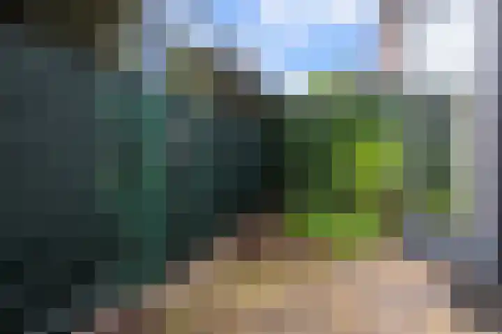 Winterkoning 2 A Heemskerk thumbnail 19