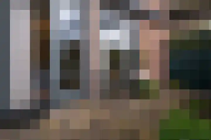 Winterkoning 2 A Heemskerk thumbnail 20