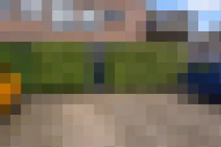 Winterkoning 2 A Heemskerk thumbnail 21