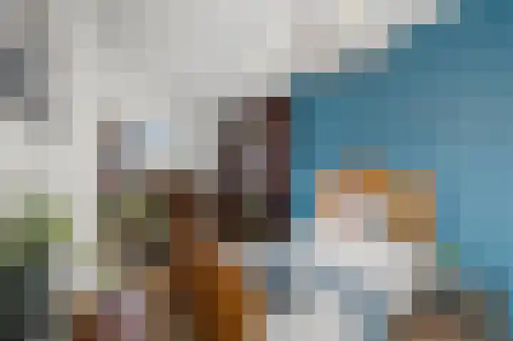 Winterkoning 2 A Heemskerk thumbnail 23