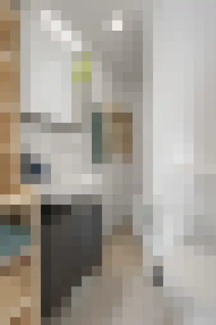Winterkoning 2 A Heemskerk thumbnail 29