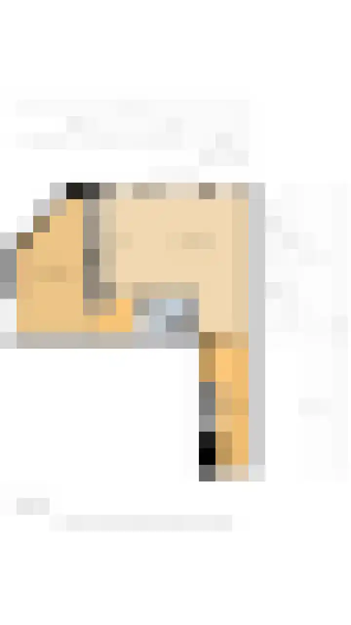 Winterkoning 2 A Heemskerk thumbnail 34