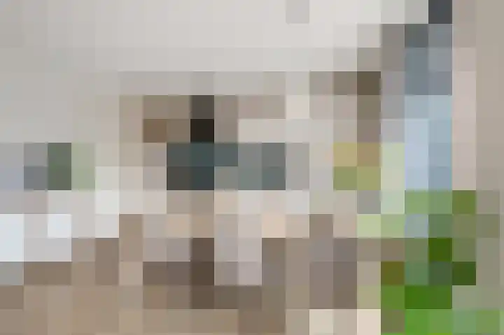 Winterkoning 2 A Heemskerk thumbnail 9