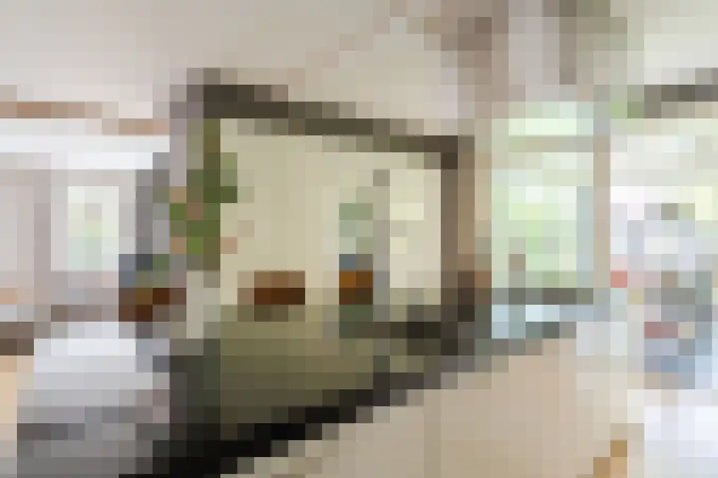 Winterkoning 31 Zuid-Scharwoude thumbnail 18