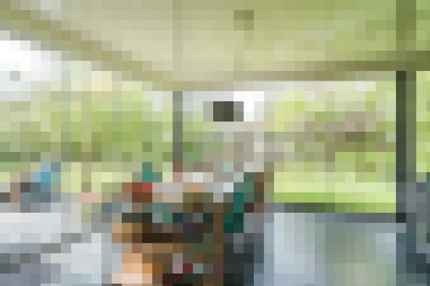 Winterkoning 31 Zuid-Scharwoude thumbnail 27