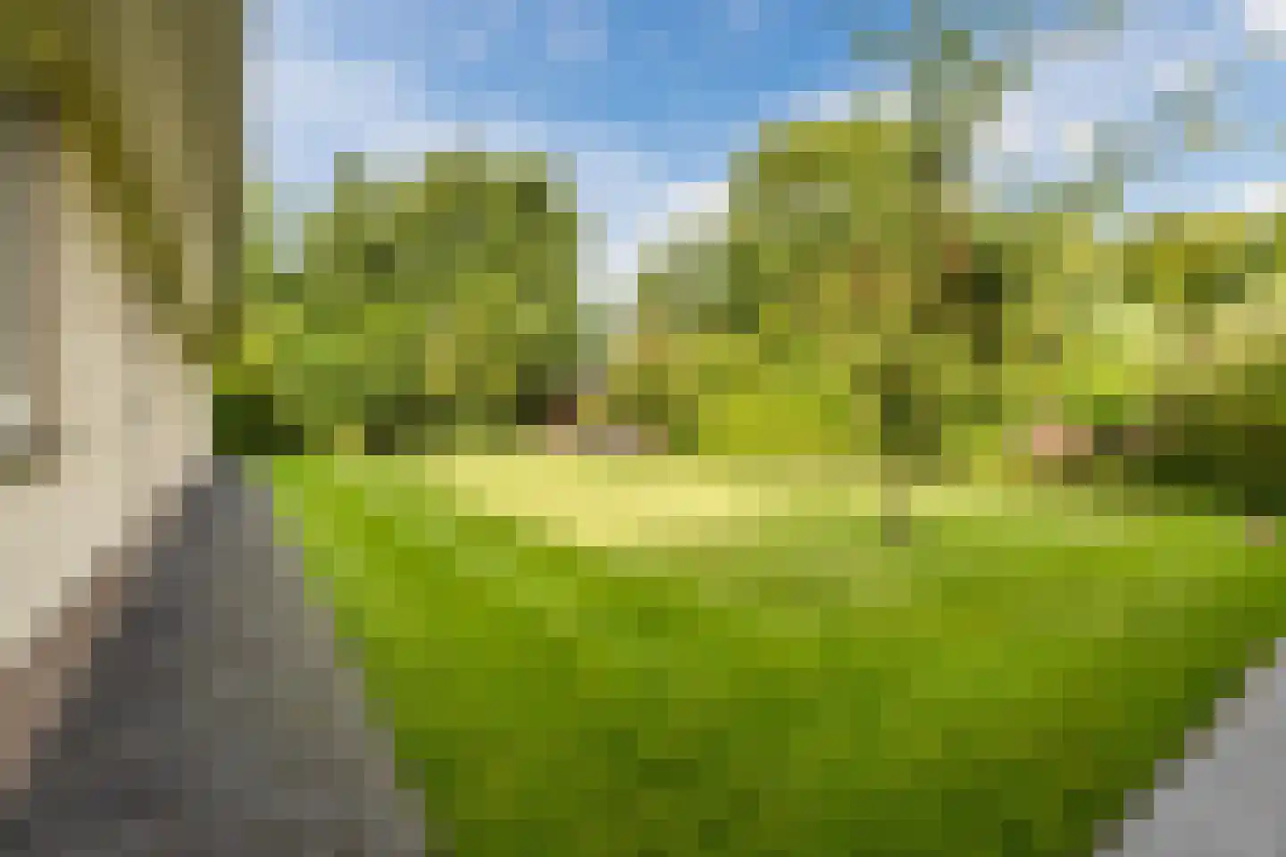 Winterkoning 31 Zuid-Scharwoude thumbnail 55