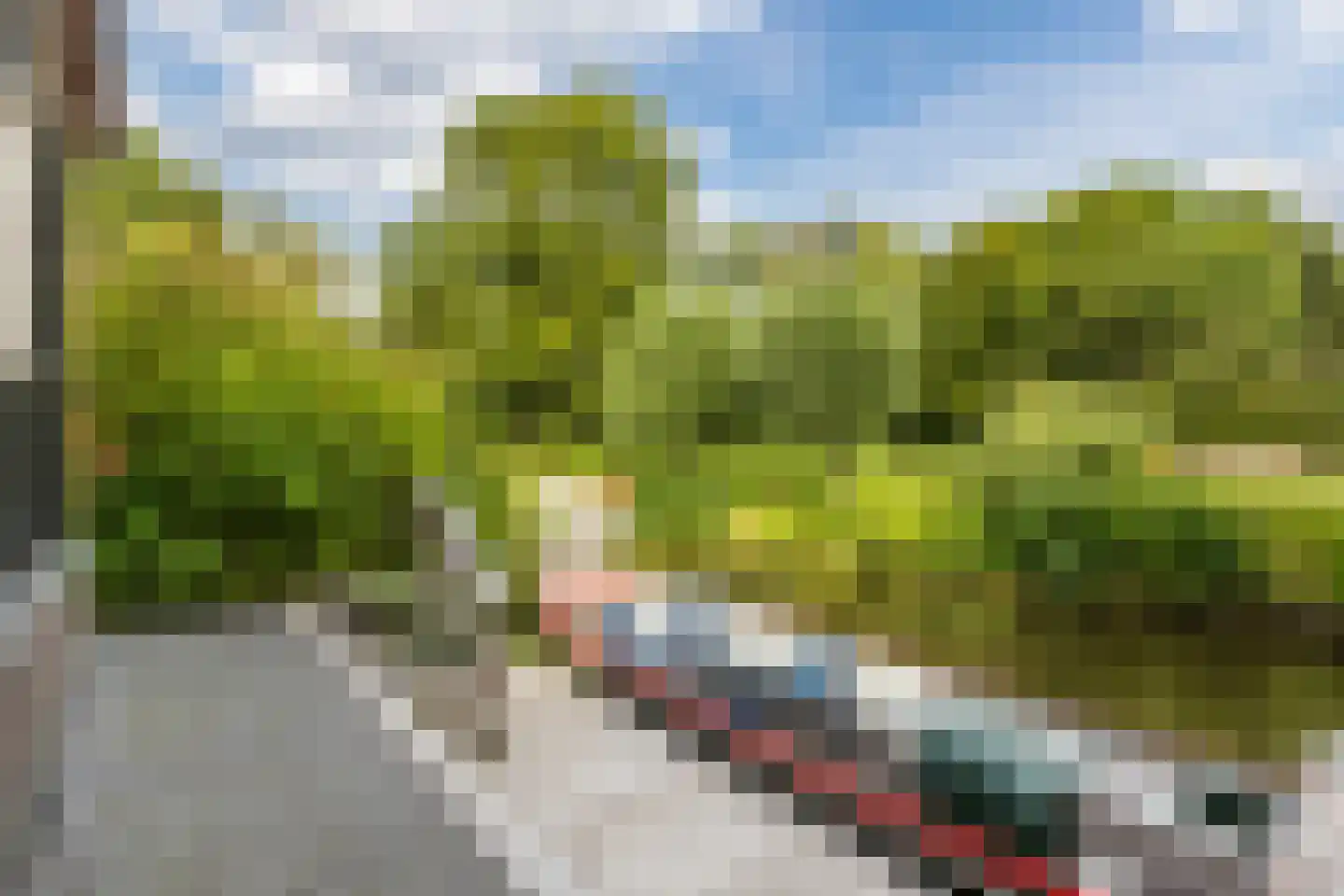 Winterkoning 31 Zuid-Scharwoude thumbnail 59
