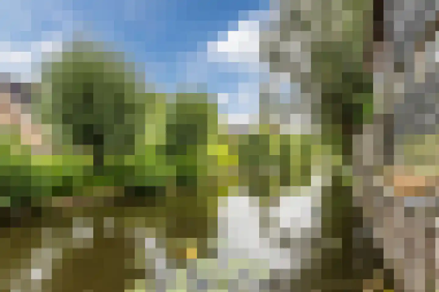 Winterkoning 31 Zuid-Scharwoude thumbnail 60