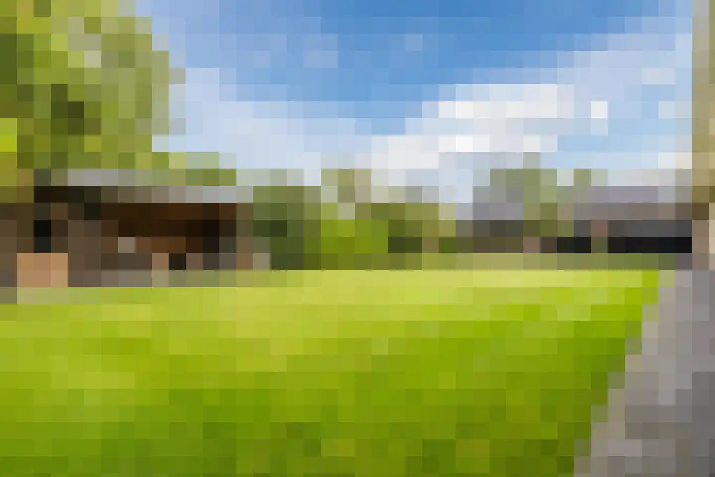 Winterkoning 31 Zuid-Scharwoude thumbnail 63