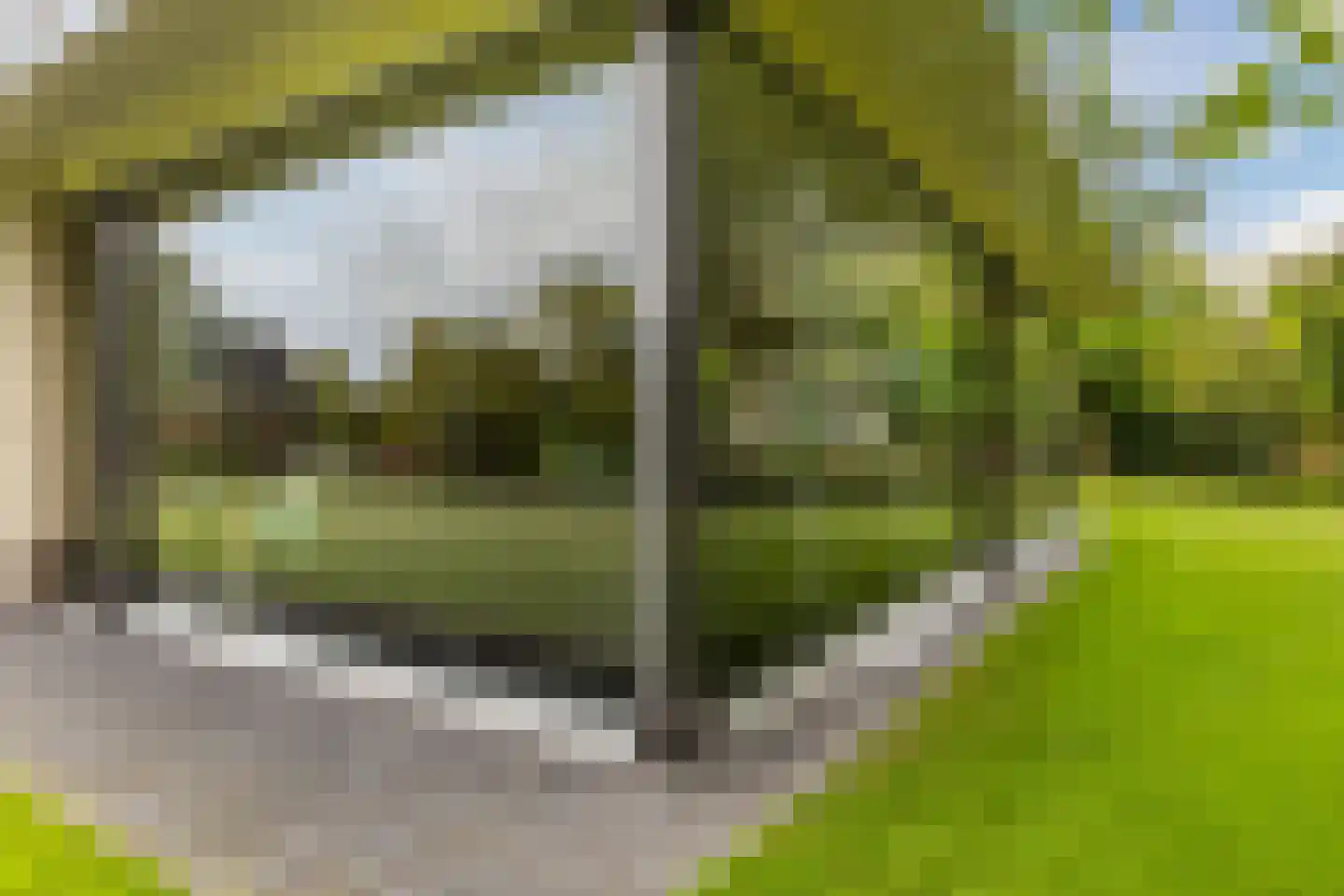 Winterkoning 31 Zuid-Scharwoude thumbnail 64