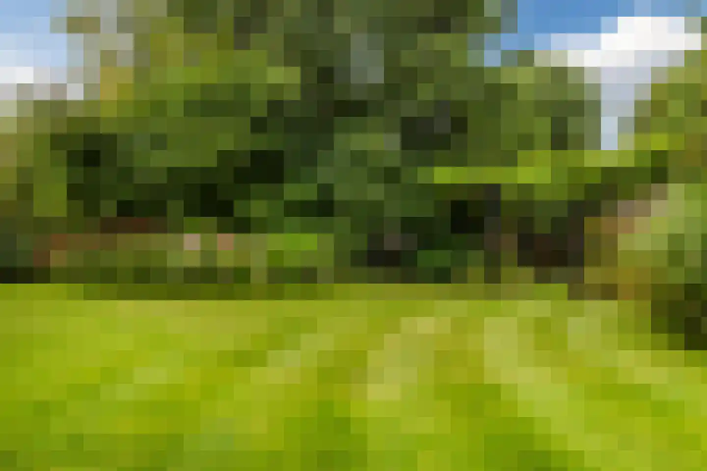 Winterkoning 31 Zuid-Scharwoude thumbnail 66