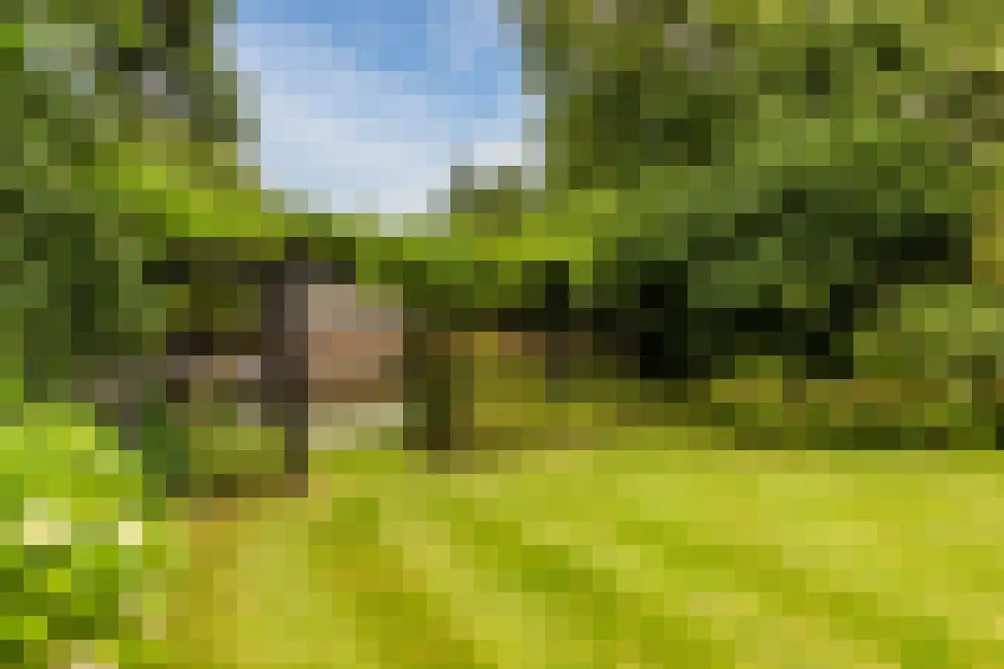 Winterkoning 31 Zuid-Scharwoude thumbnail 68