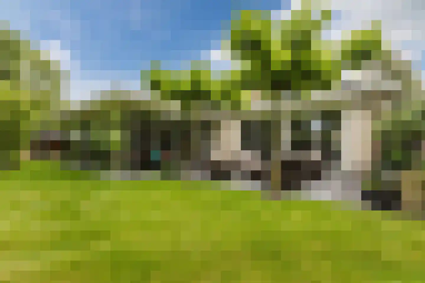 Winterkoning 31 Zuid-Scharwoude thumbnail 69