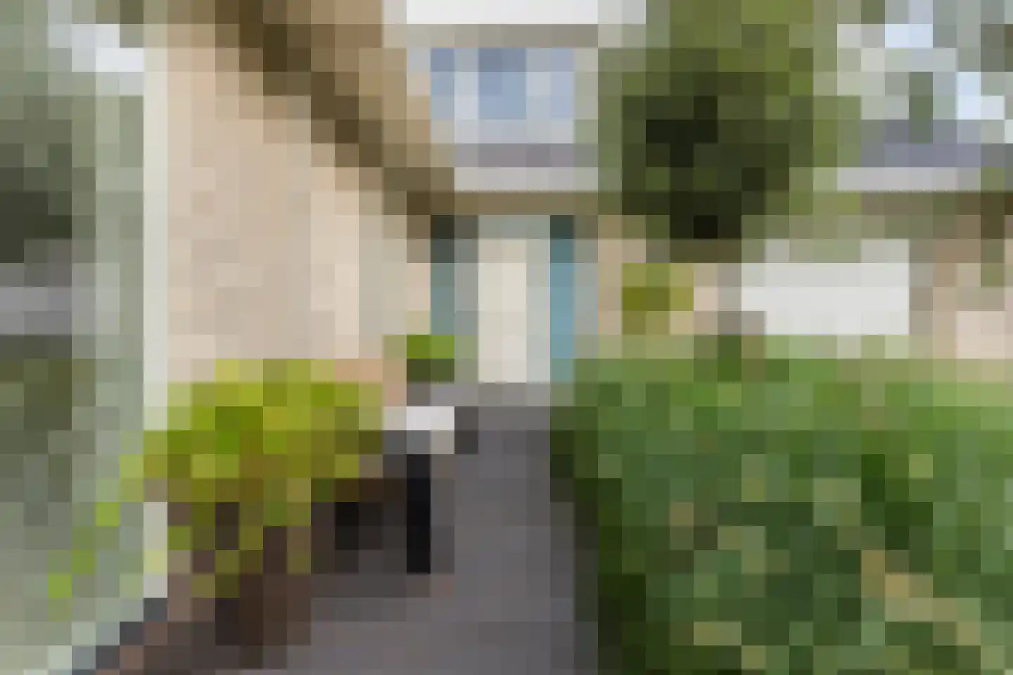 Winterkoning 31 Zuid-Scharwoude thumbnail 73