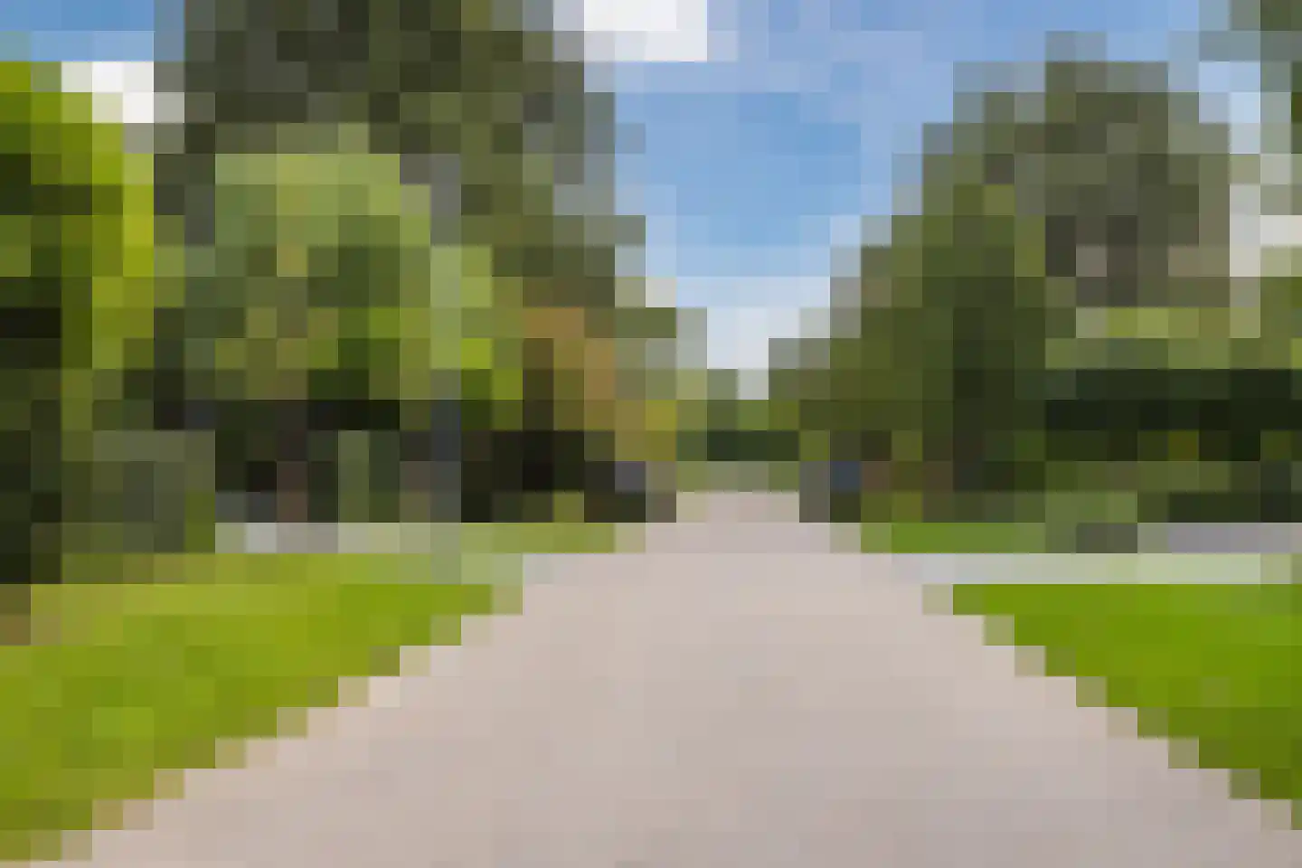 Winterkoning 31 Zuid-Scharwoude thumbnail 76