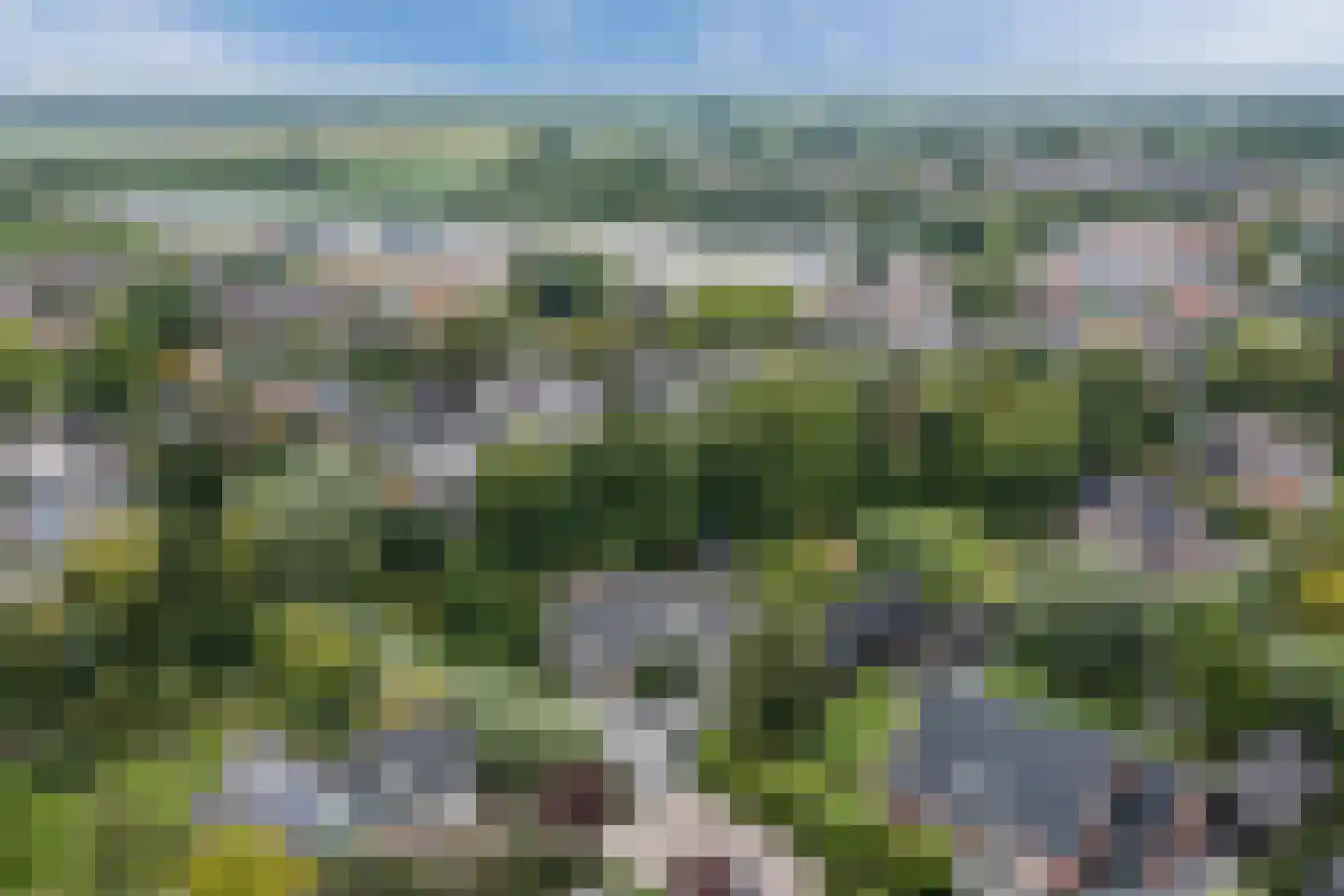 Winterkoning 31 Zuid-Scharwoude thumbnail 77