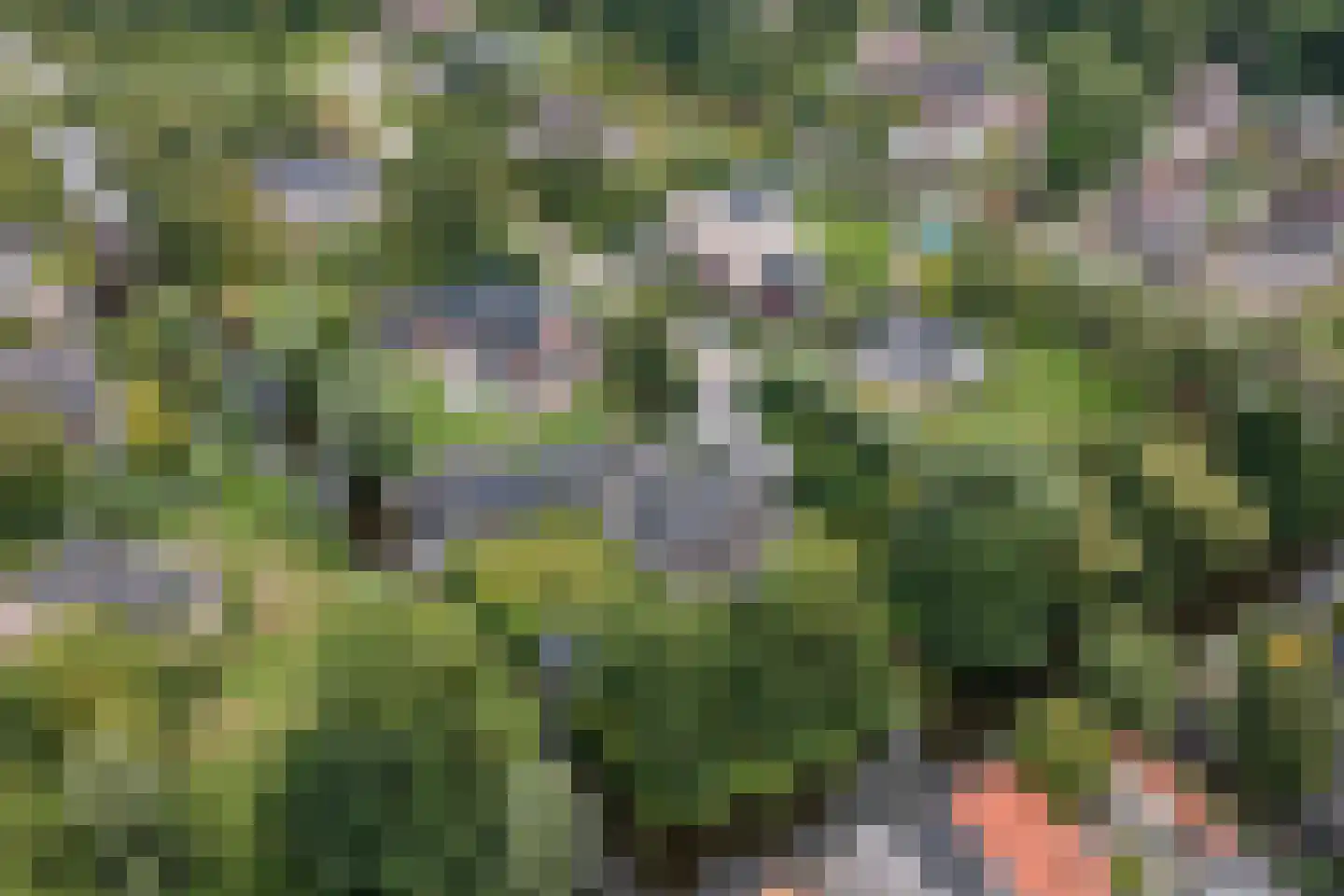 Winterkoning 31 Zuid-Scharwoude thumbnail 79