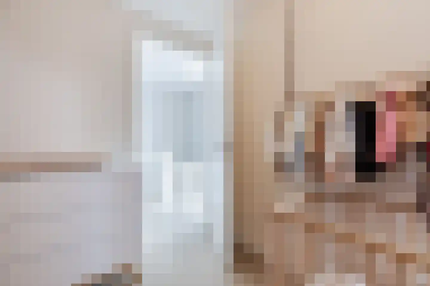 Winterkoning 34 Hoogkarspel thumbnail 39