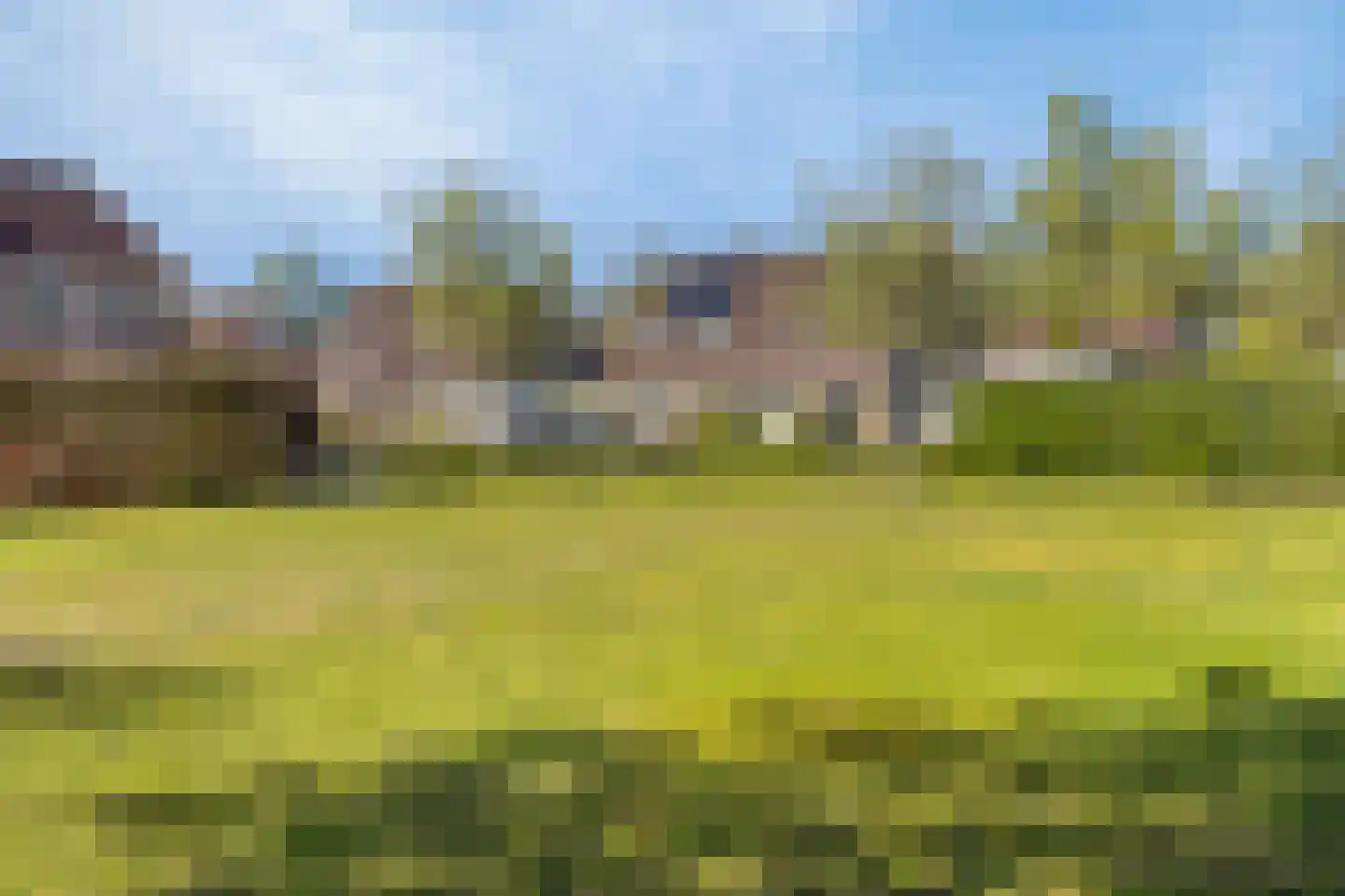 Winterkoning 36 Oud-Beijerland thumbnail 33