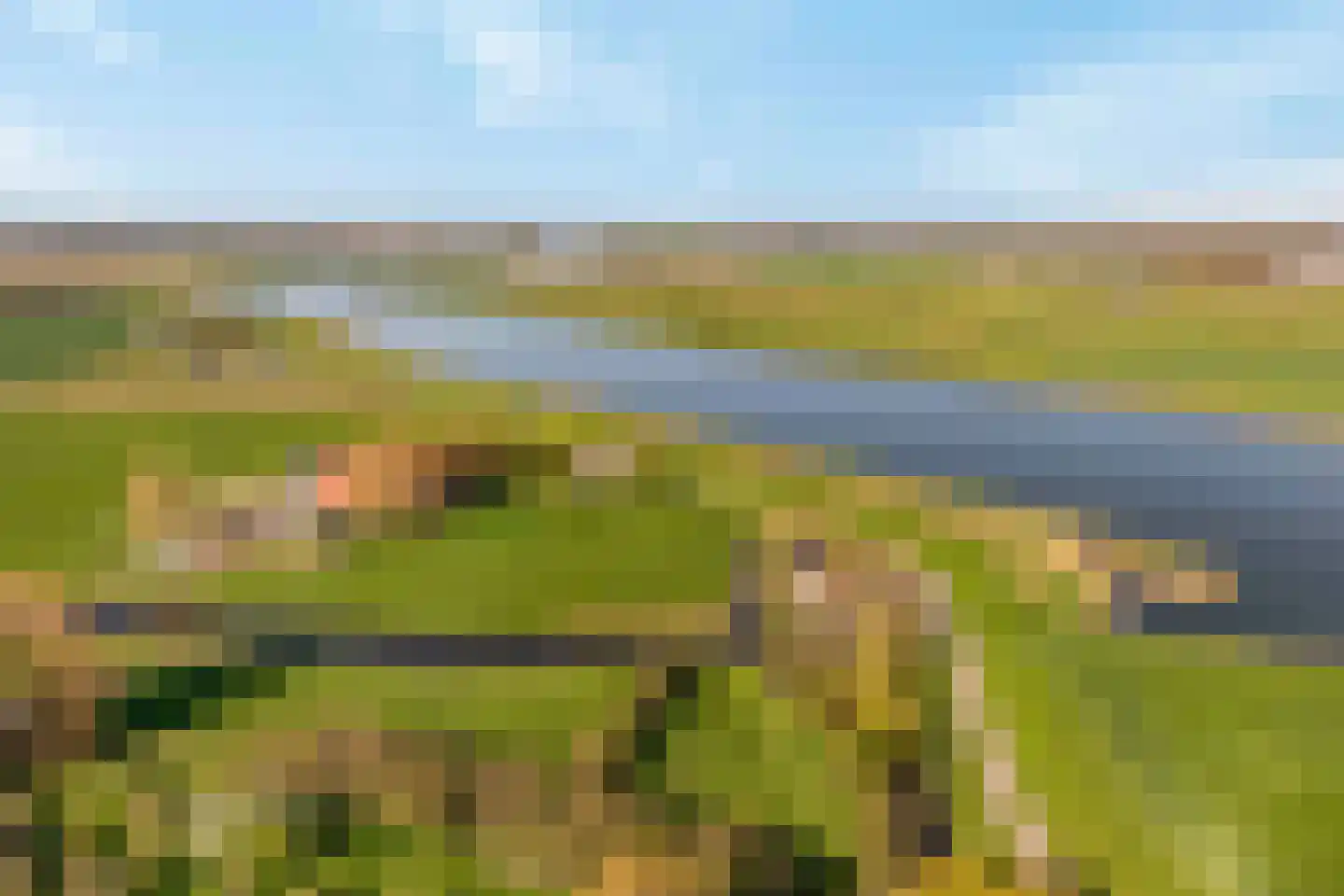 Winterkoning 36 Oud-Beijerland thumbnail 34