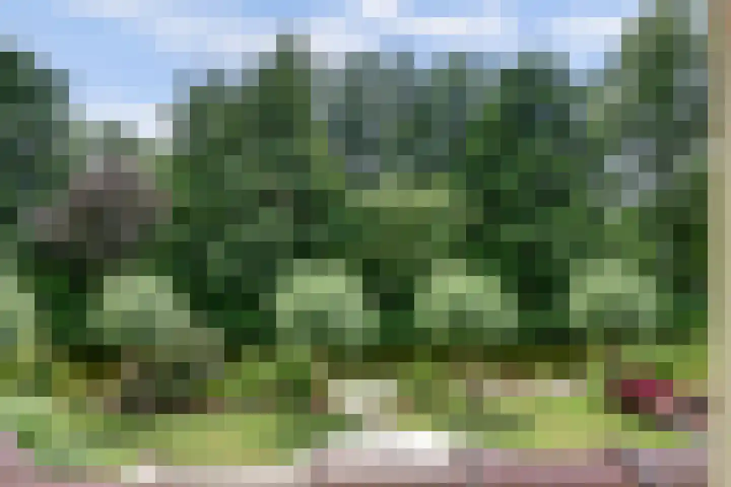 Winterkoning 36 Zuid-Scharwoude thumbnail 31