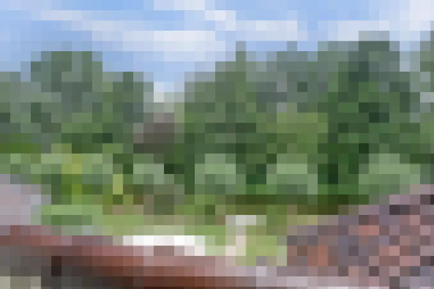 Winterkoning 36 Zuid-Scharwoude thumbnail 32